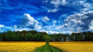 С. В Рахманинов "Сдесь хорошо". Вокал: Светлана Феодулова.