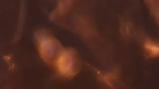 Клубника под микроскопом смотреть онлайн