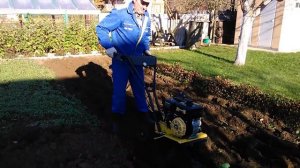 Вспашка грядок культиватором Texas TX 601.