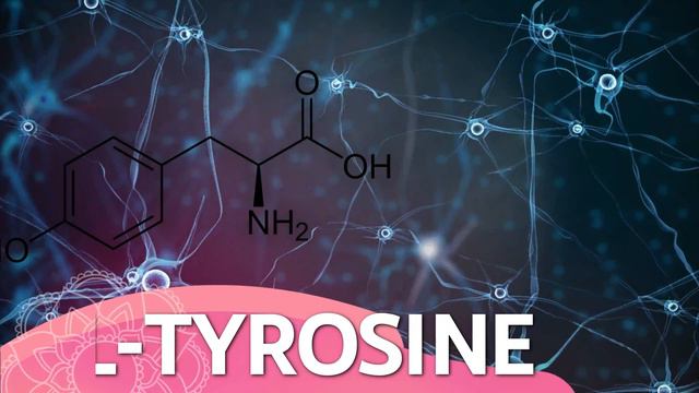 Mind Lab Pro Nootropic Review: My Experience Taking It For A Month 🗓️ смотреть онлайн