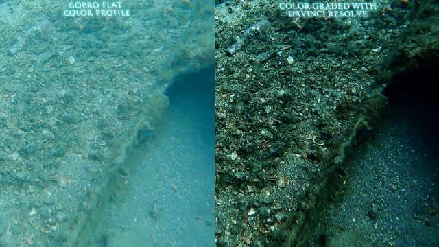 GoPro Flat Color Vs. Davinci Resolve 17 Color Grading in 4K смотреть онлайн