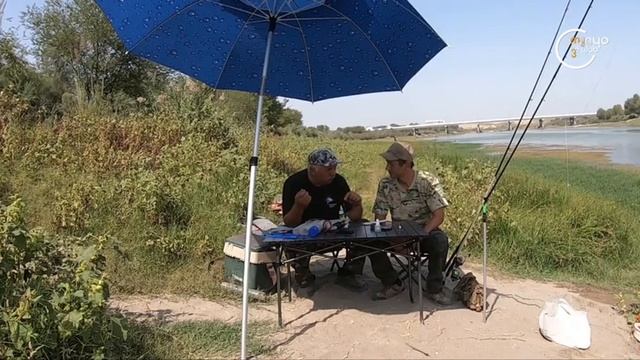 «На рыбалке» | Ловля на поплавочную удочку: оснастка, тактика, советы [11.09.2022] смотреть онлайн