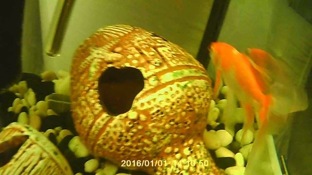 проверка камеры