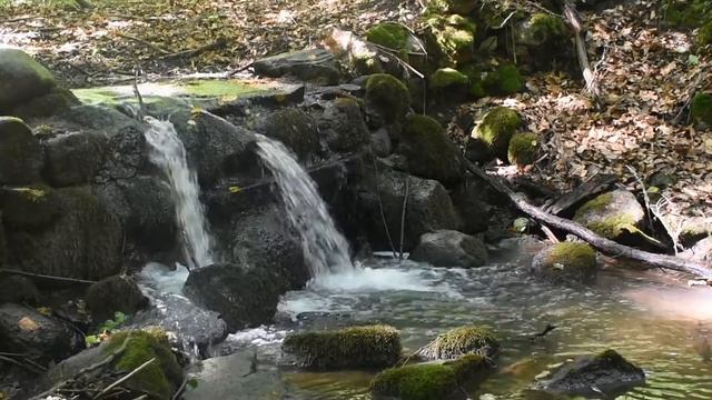 Звуки ручья для релаксации и сна. Звуки воды. Лесной ручей.
