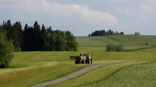 Альпийские луга в Баварии и как их удобряют смотреть онлайн