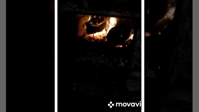 Афанасий Фет Весна и рассвет смотреть онлайн