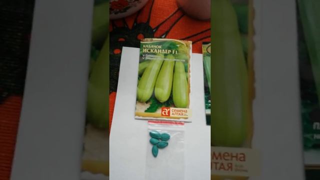 Этот гибрид кабачка не оставит равнодушным огородников!!! смотреть онлайн