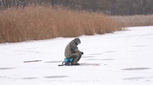 ЛОВЛЯ ОКУНЯ НА БАЛАНСИР. ПРАКТИЧЕСКИЕ СОВЕТЫ.