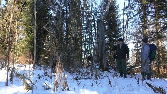 Ноябрь уж на дворе смотреть онлайн