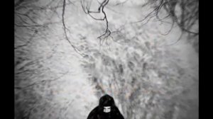 Жинжин Андрей Владимирович. А мне бы просто снегом стать.