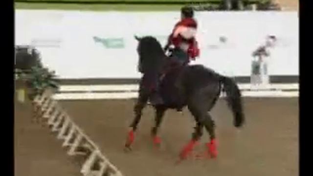 Весенний карнавал выездки смотреть онлайн