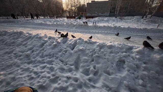 2023-02-20 смотреть онлайн