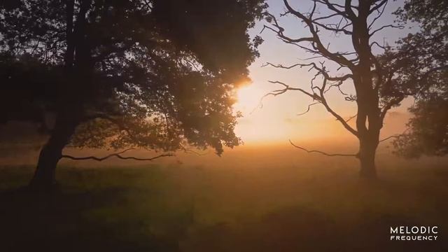 Esoul - Taste The Sun (Addex Remix) смотреть онлайн