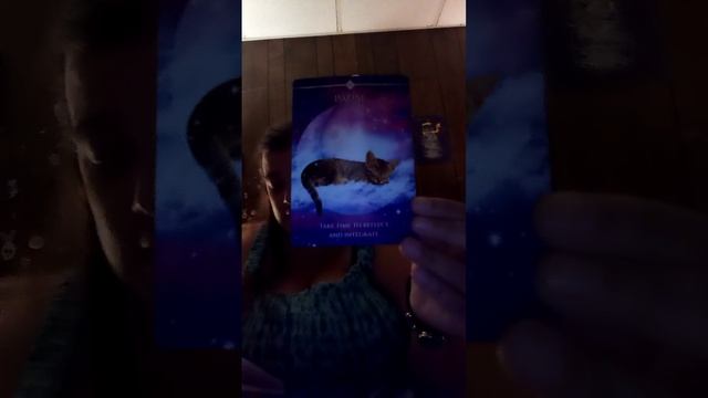 Sagittarius Oracle Cards for the week of August 11, 2023 смотреть онлайн