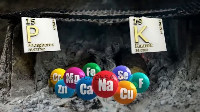Лук вырастет в Огромный Кулак Важная подкормка в конце июня смотреть онлайн