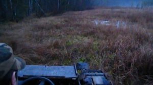 каракат болото