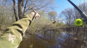 Рыбалка в разлив, видео rybachil.ru