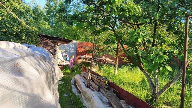 Уехали с внуками. Посадка против правил. Джакузи для собаки. Жизнь семьи в деревне. смотреть онлайн