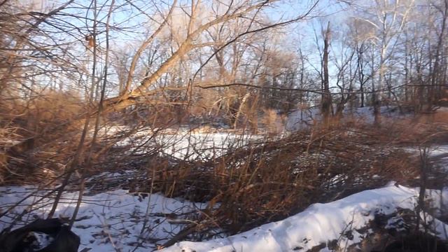 Просто Лес Зима Костёр Чай смотреть онлайн