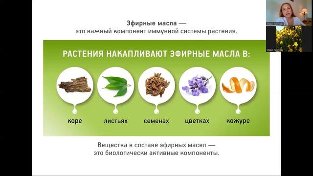 Что такое Эфирное масло смотреть онлайн