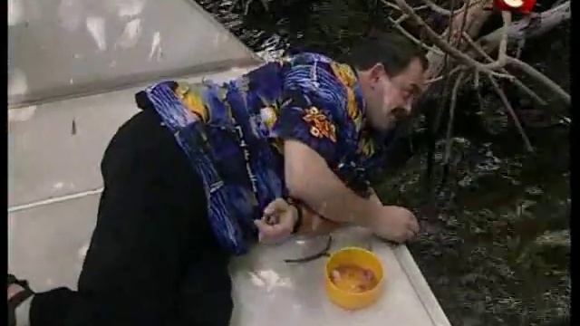 В поисках приключений - Ямайка смотреть онлайн