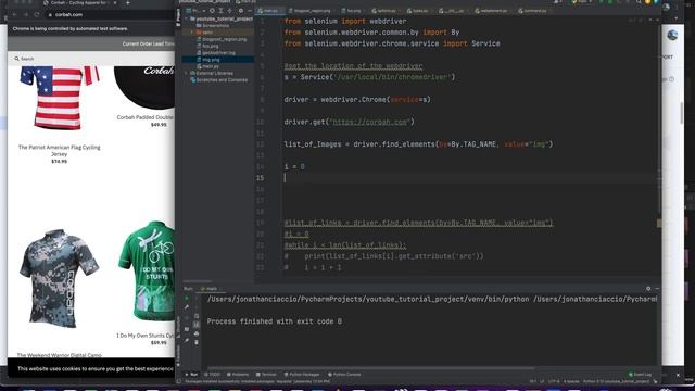 How to Get All The Images from a Webpage with Python Selenium Automation using find elements method смотреть онлайн