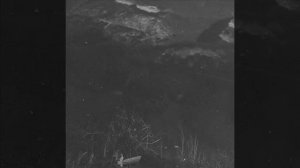 PHARAOH — UNPLUGGED: 2  LOVE KILLS