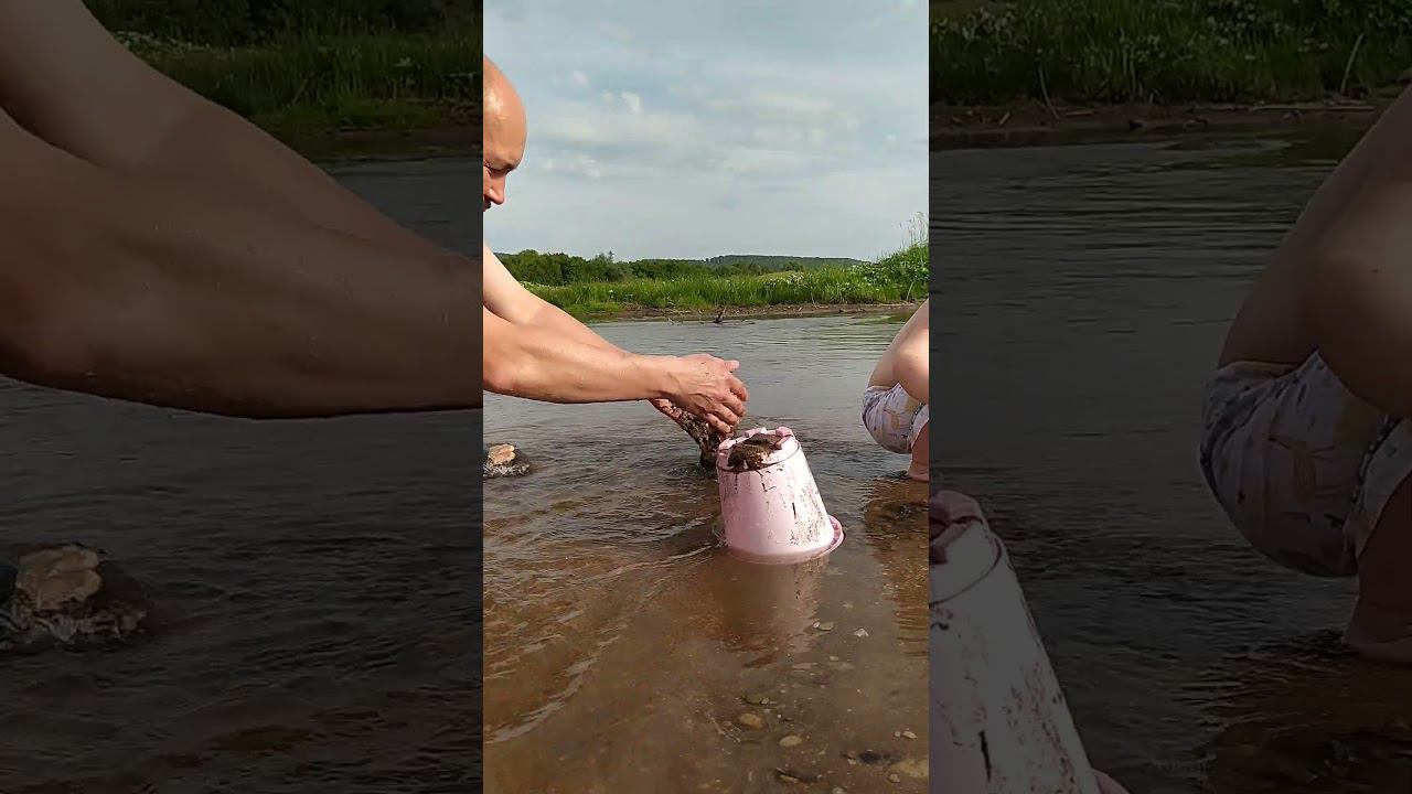 15 июня 2024 г.