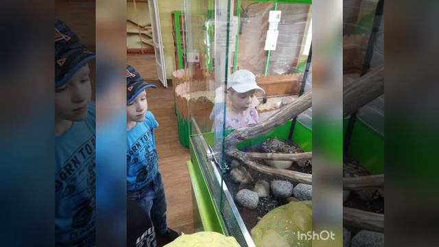 Экскурсия "Вовкин двор" смотреть онлайн