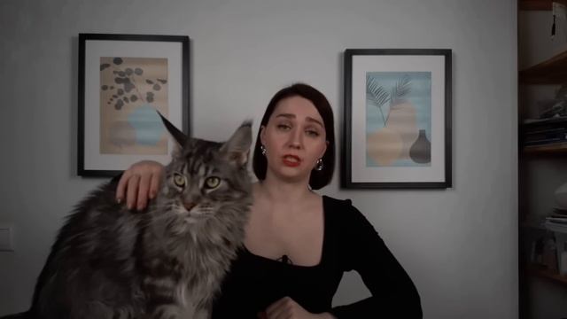 ТОП-13 ИСТОЧНИКОВ МУЖСКИХ ВЫКРОЕК| Мужские выкройки| Где найти выкройки для мужчин? смотреть онлайн