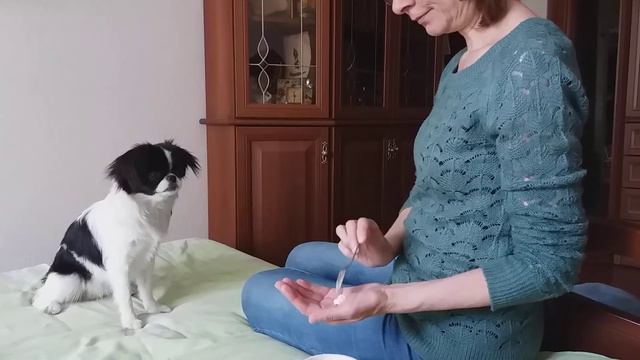 Делись! (Японский хин Мика) смотреть онлайн