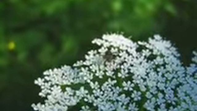 144 смотреть онлайн