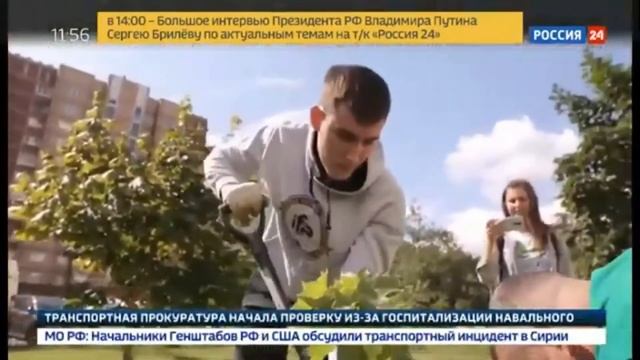 На России 24 вышел сюжет о работе Подари-Дерево. смотреть онлайн