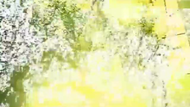 2007 год Мой первый музыкальный(Тестовый клип) смотреть онлайн