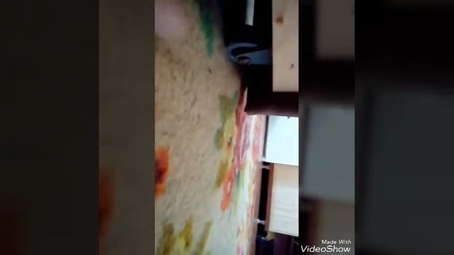 (Вызов духов / скелет смотреть онлайн