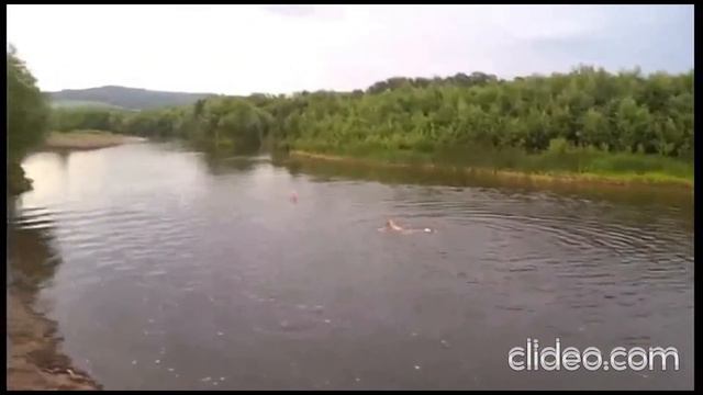 Видеоконкурс Ижбулатова Лейла Робертовна   В родные края тянется душа