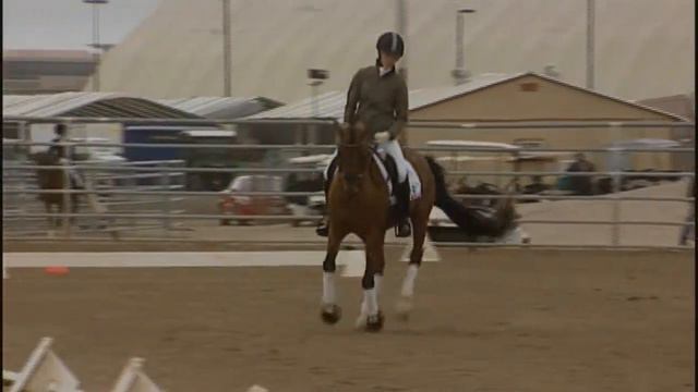 Bonne Vivant +++/ & Lindsey Anderson O'Keefe - Scottsdale Seminar with Gil Merrick смотреть онлайн