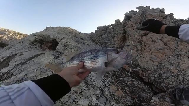 Shore Jigging for Dentex on the Mediterranean Coast смотреть онлайн