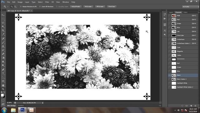 FREE CMYK AND SPOT COLOR SEPARATION смотреть онлайн