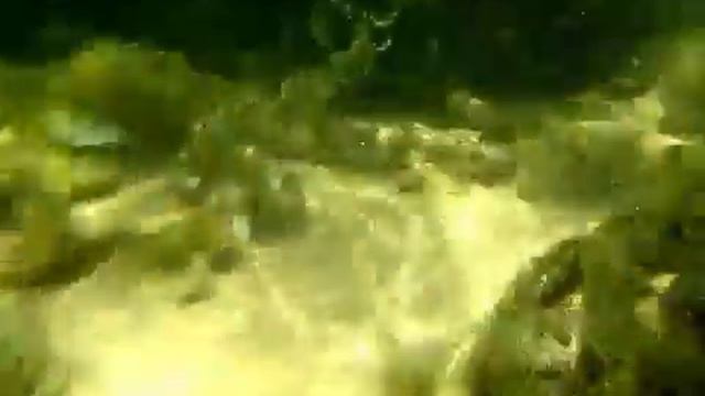 Любимая Шри Ланка Первый опыт подводной съемки не судите строго смотреть онлайн