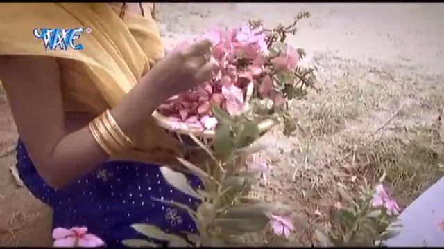 Phool maliniya lail ho смотреть онлайн