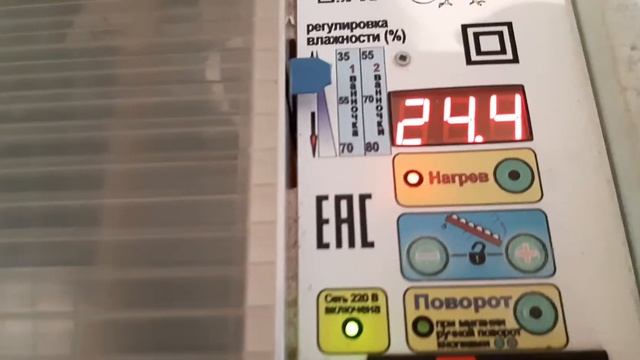 Инкубация гусиных яиц. Инкубатор Блиц Норма.