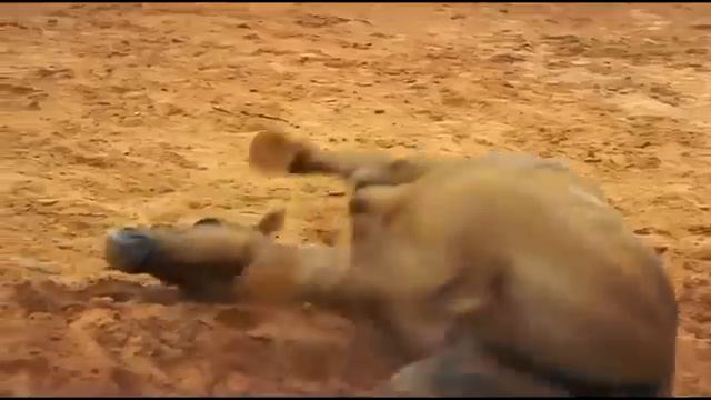 Ölümcül Makineler Full İzle Türkçe Dublaj
