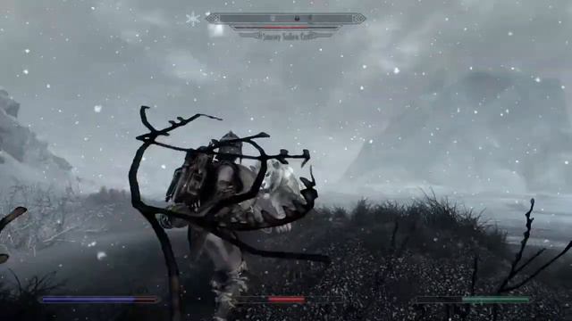 Fighting a Snowy Sabre Cat - Skyrim смотреть онлайн