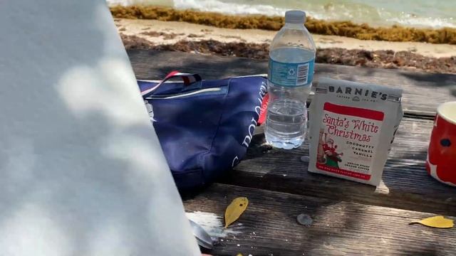 ? скромный ЗАВТРАК в НЕСКРОМНОМ месте ? с Робинзоном Oleta River State Park Florida USA 18.03.2021