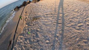 Шамайка ПРЁТ. Рыбалка на Азовском Море Что можно словить. Ловля Шемаи на Манно-Гороховую Мастырку