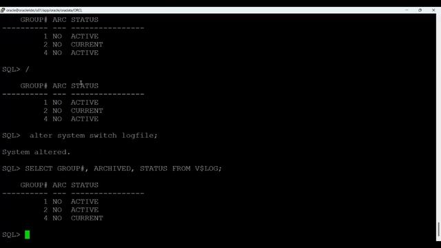Free-Oracle-19c-Old-Arch-DBA-Workshop-L15-Morning-Session смотреть онлайн