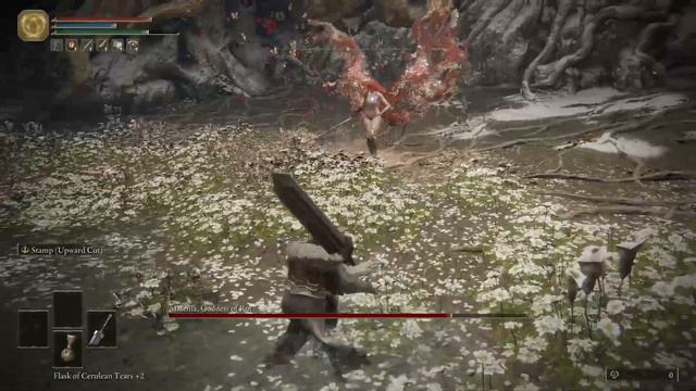 Cathedral Knight vs Malenia, Blade of Miquella [Cosplay Fight, Mid Roll, No Hit] смотреть онлайн