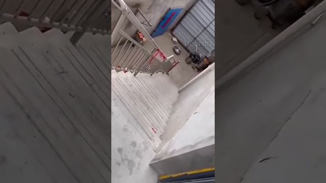 Куда торопится этот кот!?))) смотреть онлайн