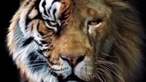 GAZAN - ЧЕ ЗА ЛЕВ ЭТОТ ТИГР, NEW MP3 2021